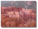 Thumbs/tn_DVC01748.jpg