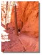 Thumbs/tn_P1030476.jpg