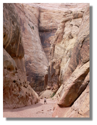 ../Images/P1030600.JPG